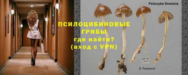 гашик Киренск