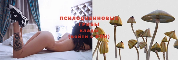 крисы Кинешма